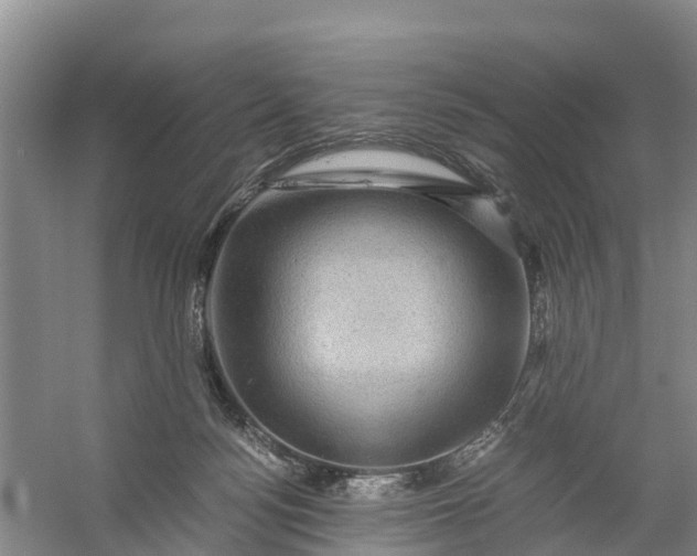 X0000056380172200509161931