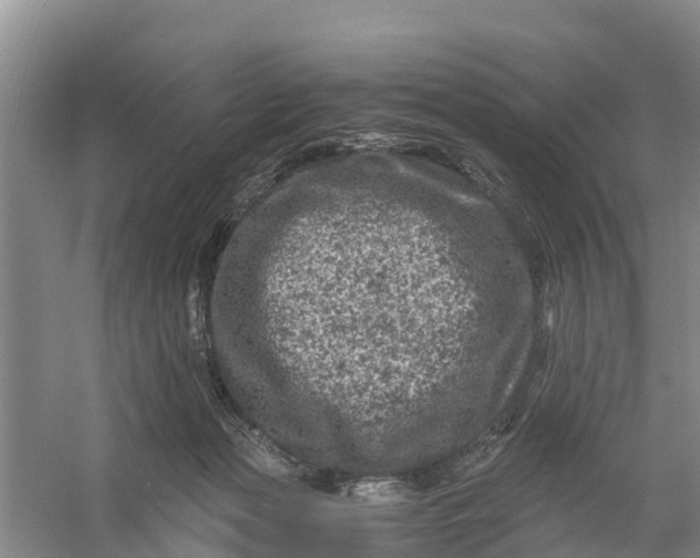 X0000056380173200509161931