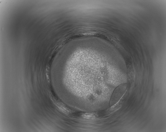 X0000056380175200509161931