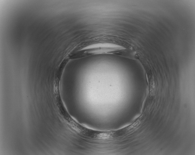 X0000056380176200509161931