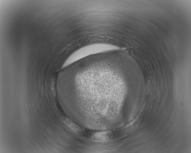 X0000056380178200509161931