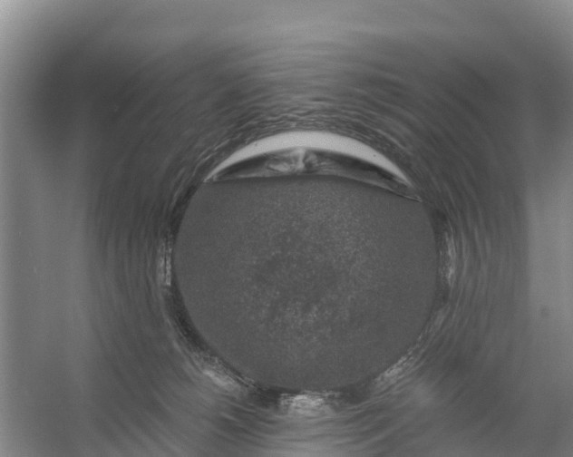 X0000056380180200509161931