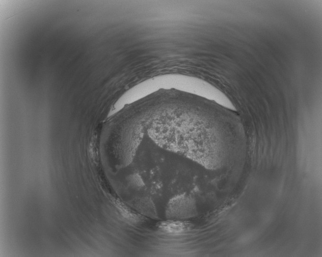 X0000056380181200509161931