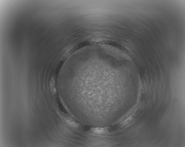 X0000056380187200509161931