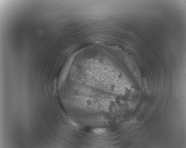 X0000056380189200509161931