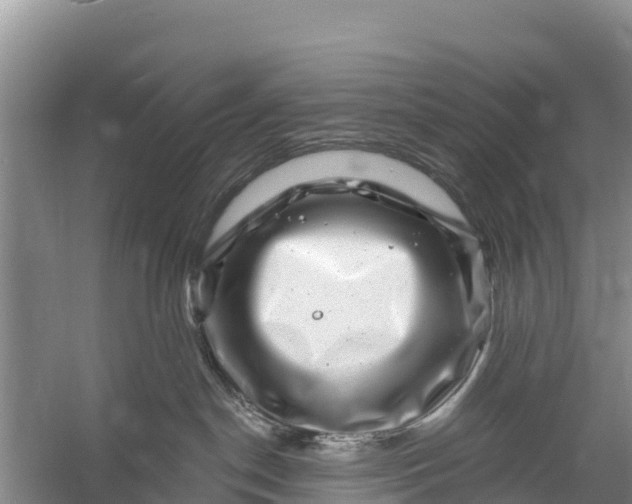 X0000056380190200509161931