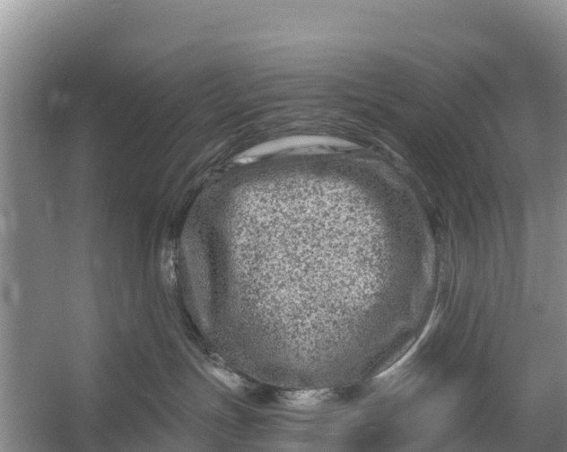 X0000056380191200509161931