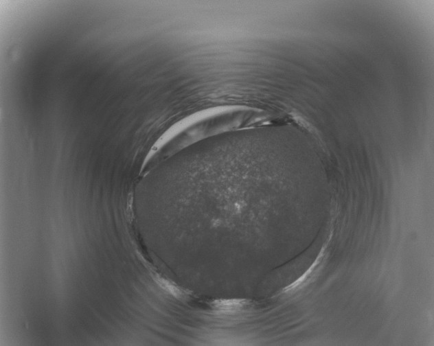 X0000056380192200509161931