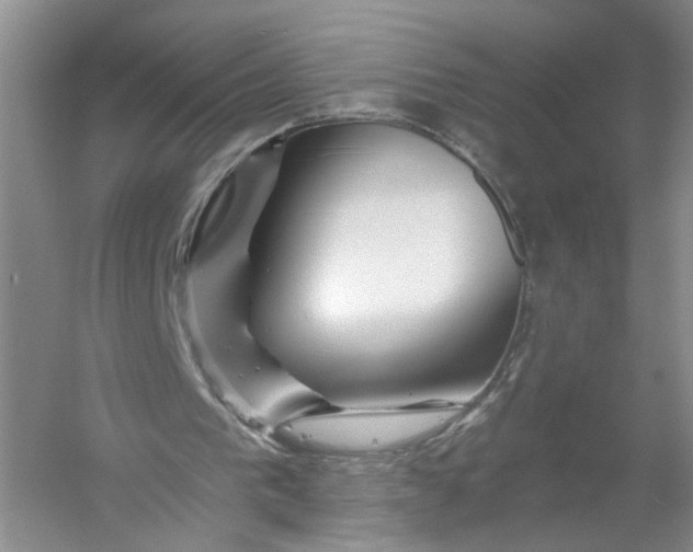 X0000056380193200509161930