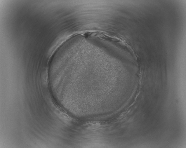 X0000056380194200509161930