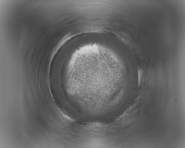 X0000056380195200509161930