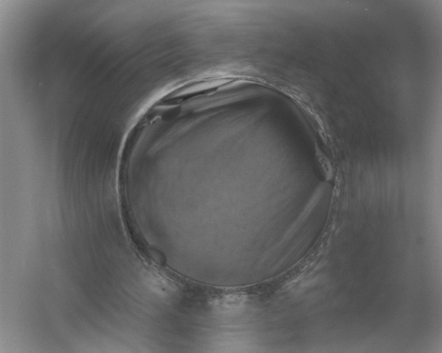 X0000056380196200509161930