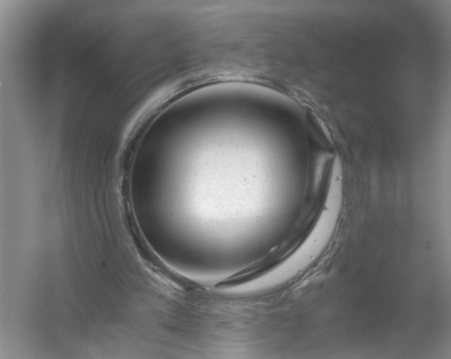 X0000056380197200509161930