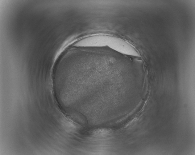 X0000056380198200509161930