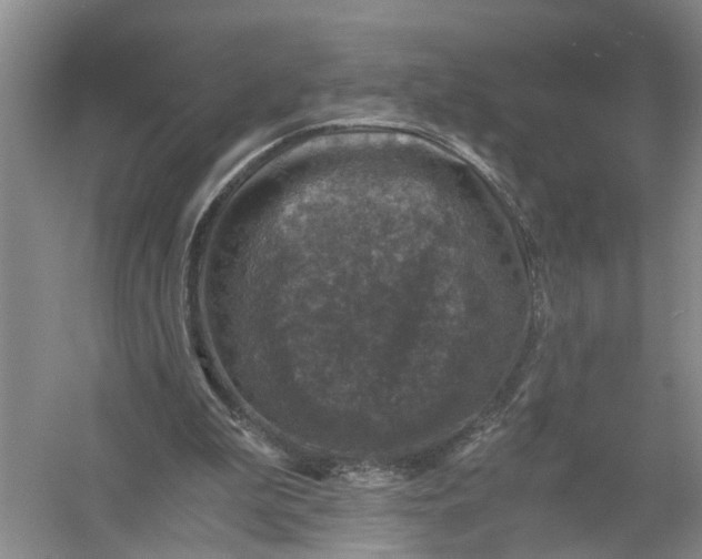 X0000056380199200509161930