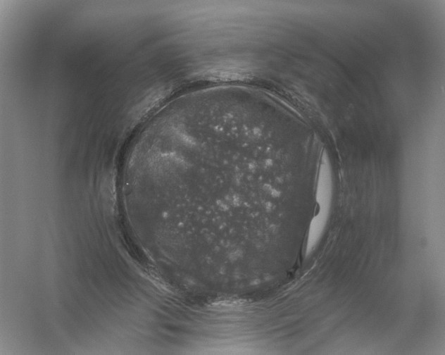 X0000056380202200509161930