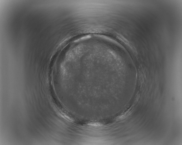 X0000056380203200509161930