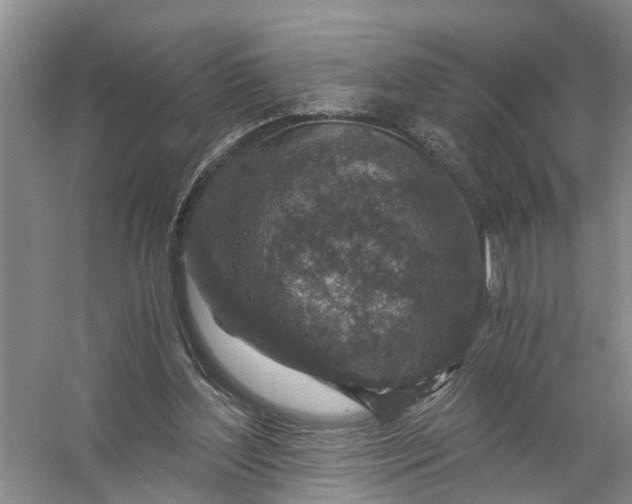 X0000056380204200509161930