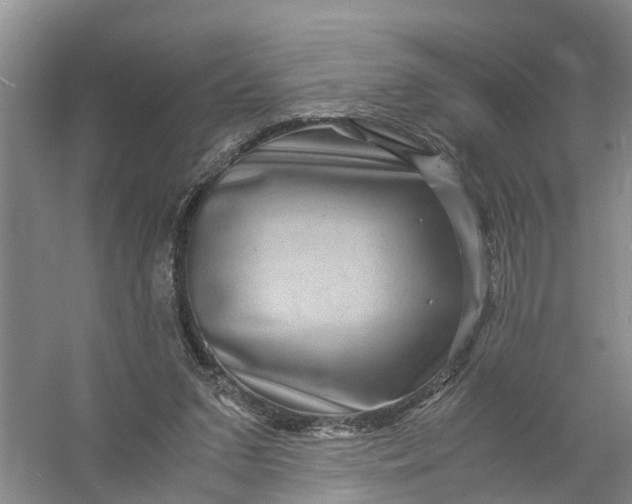 X0000056380207200509161930