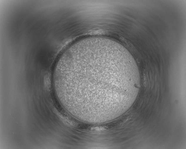 X0000056380208200509161930