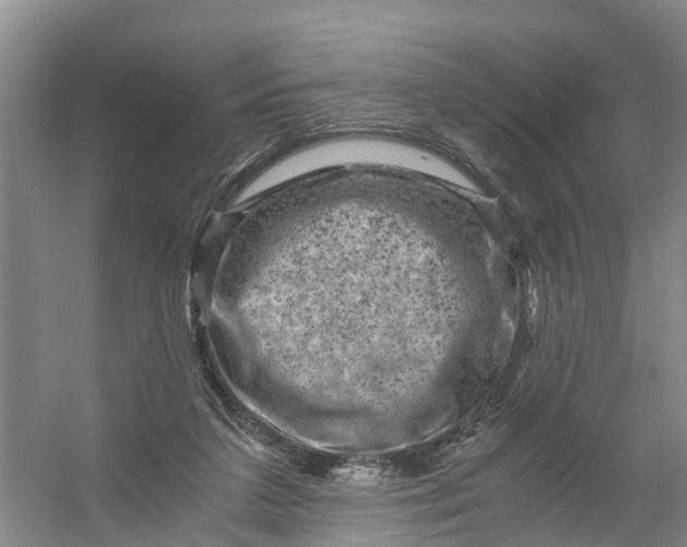 X0000056380211200509161930