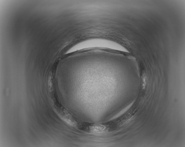 X0000056380215200509161930