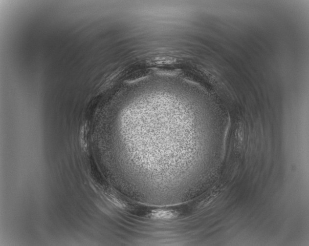 X0000056380218200509161930