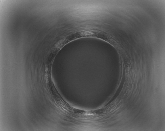 X0000056380223200509161930