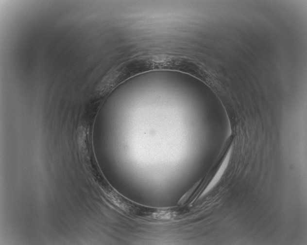 X0000056380225200509161930