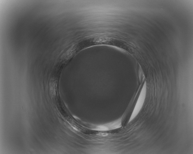 X0000056380227200509161930