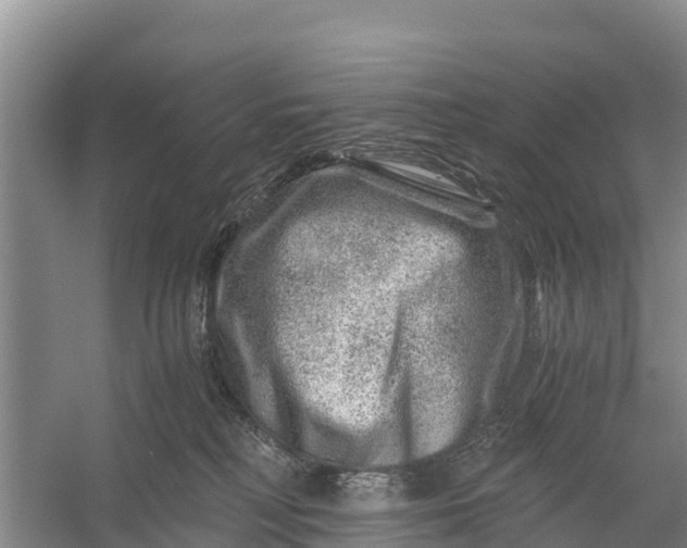 X0000056380230200509161929