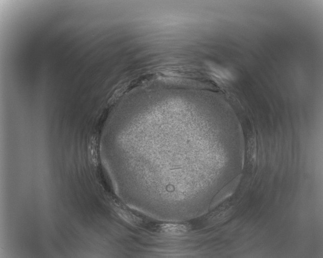 X0000056380234200509161929