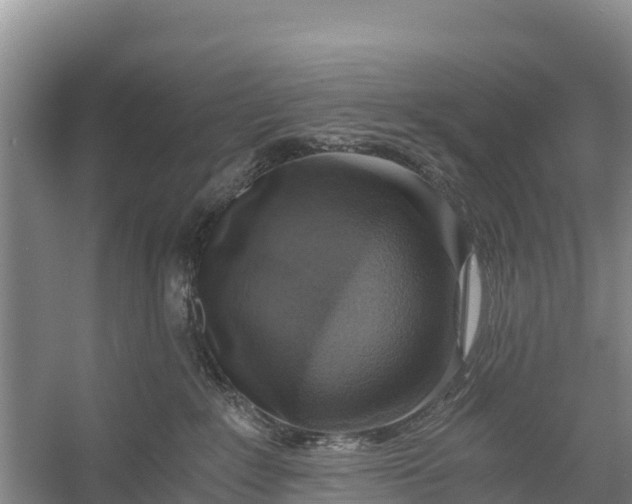 X0000056380235200509161929