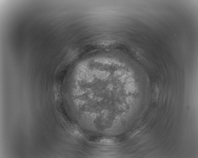 X0000056380236200509161929