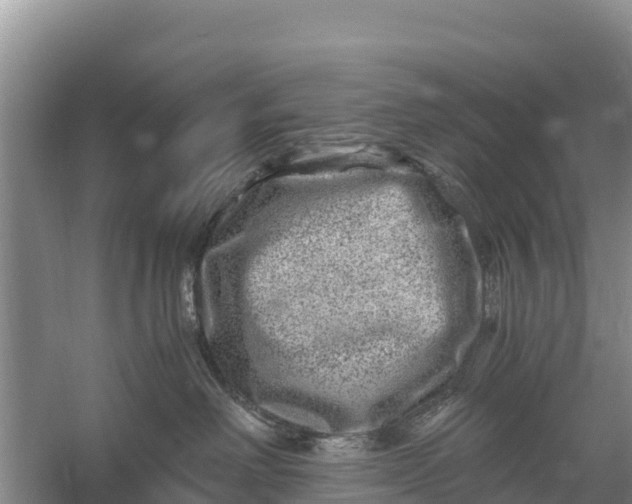 X0000056380238200509161929