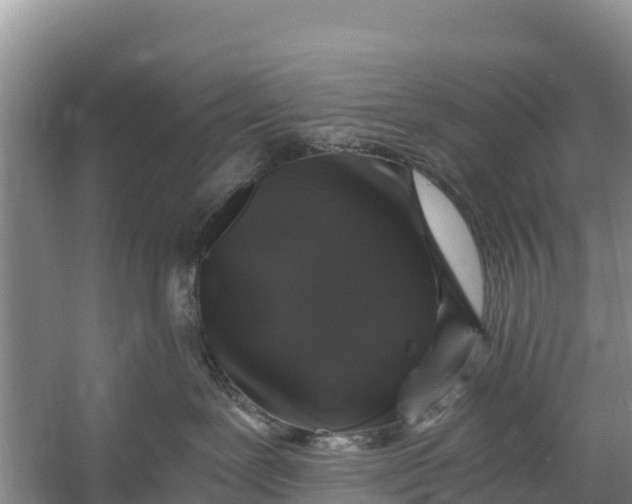 X0000056380239200509161929