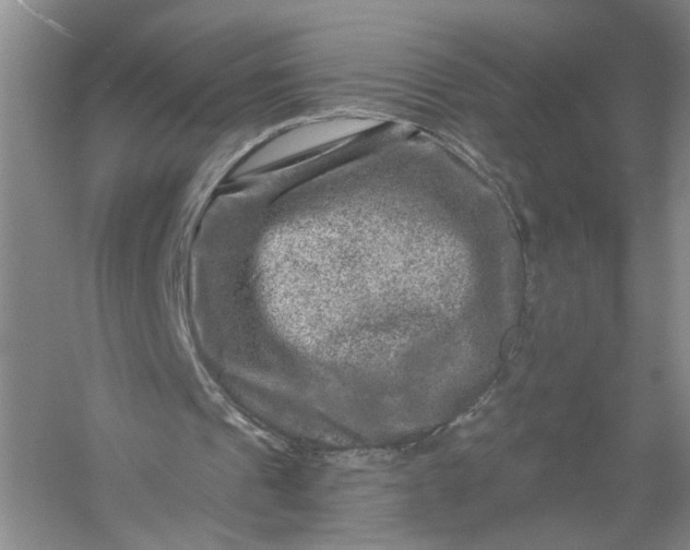 X0000056380241200509161928