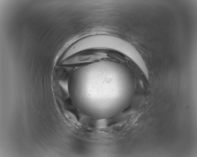 X0000056380244200509161929