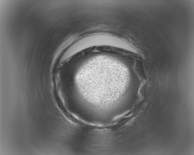 X0000056380245200509161929