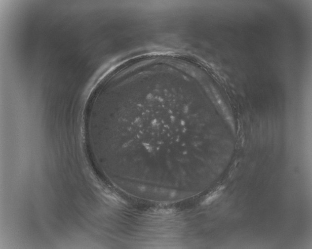 X0000056380247200509161929