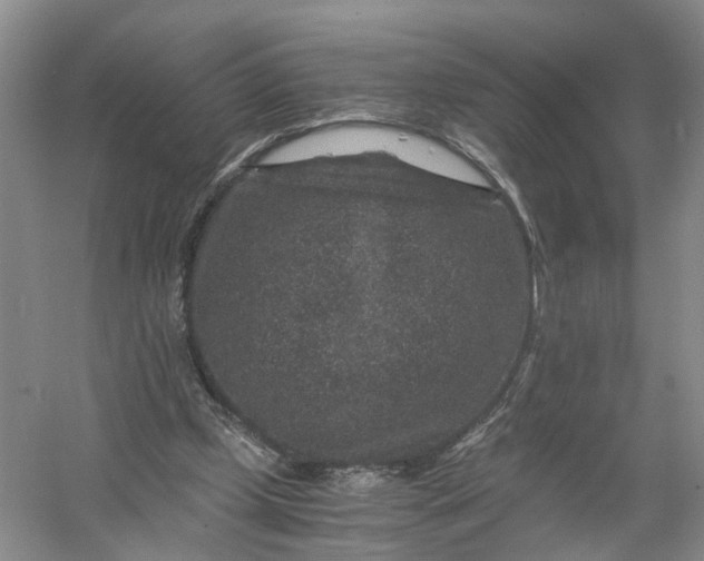 X0000056380249200509161929