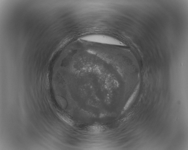 X0000056380250200509161929