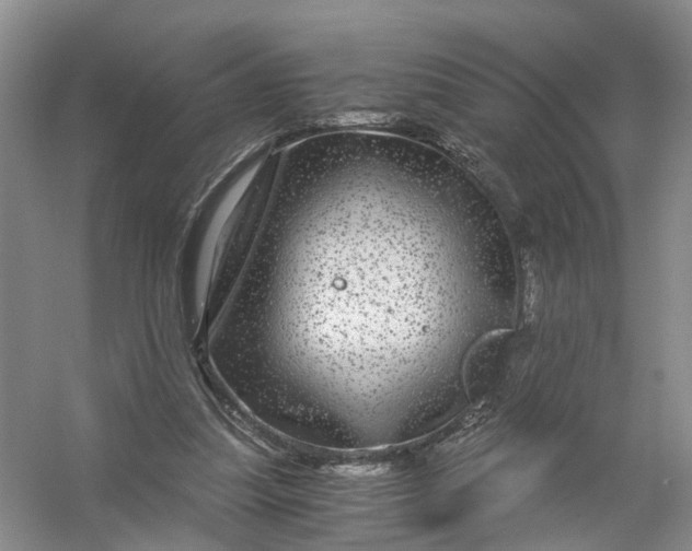 X0000056380251200509161929