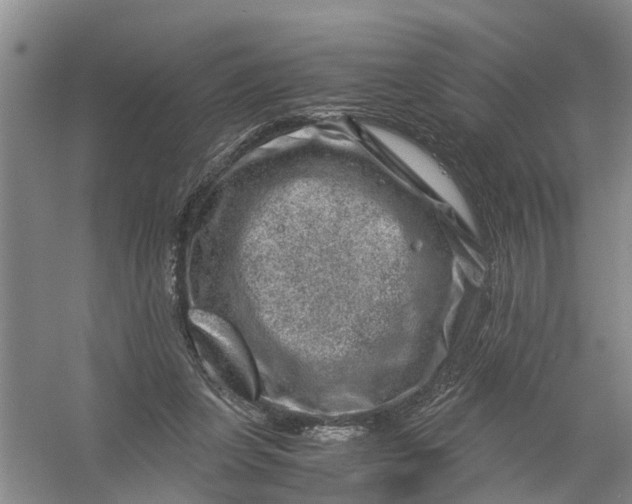 X0000056380255200509161929