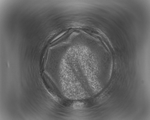 X0000056380257200509161929