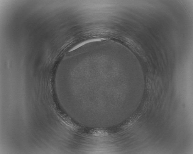 X0000056380258200509161929