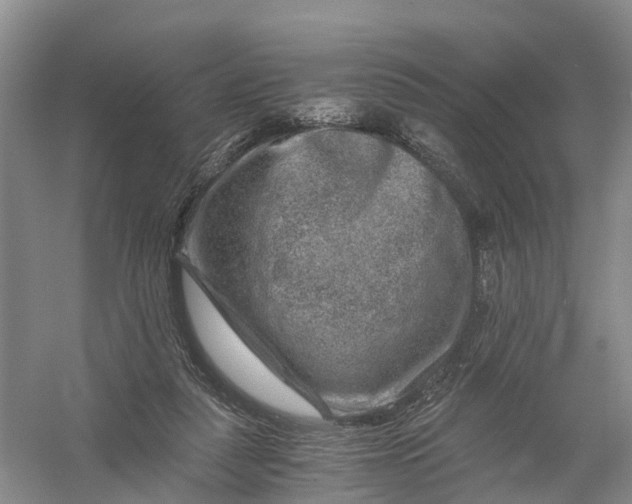 X0000056380259200509161929