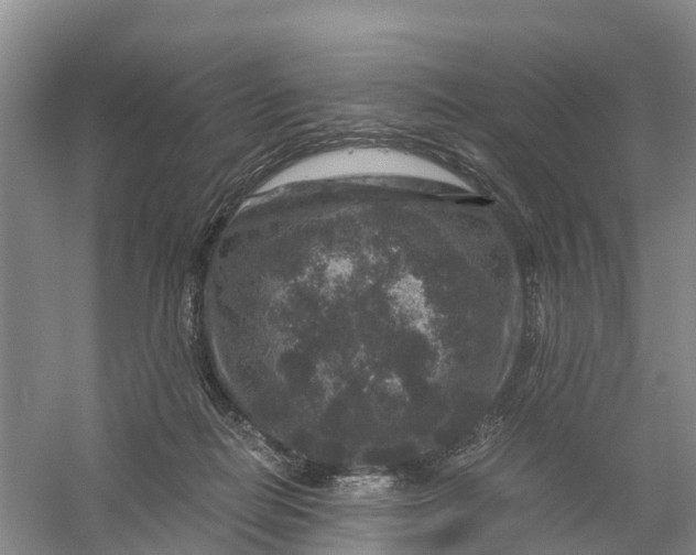 X0000056380266200509161929