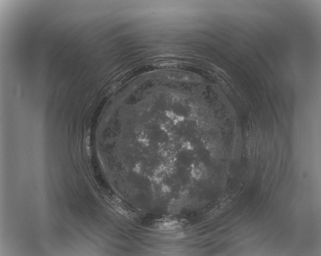 X0000056380267200509161929