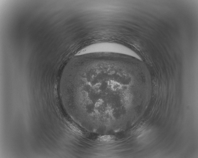 X0000056380269200509161929